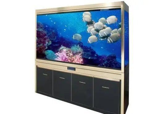 廣東閩江水族箱配件 龍魚論壇 第1張 廣東閩江水族箱配件 廣東閩江水族箱配件 龍魚論壇 第1張