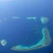 劍齒虎真的存在嗎