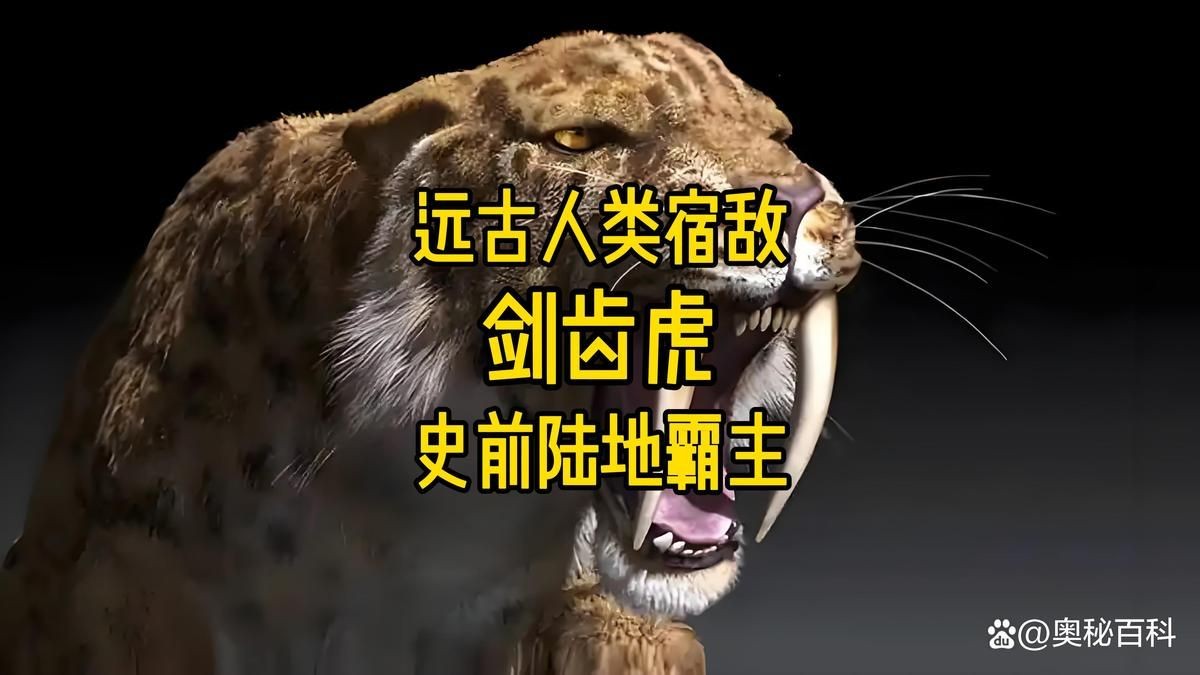 劍齒虎真的存在嗎