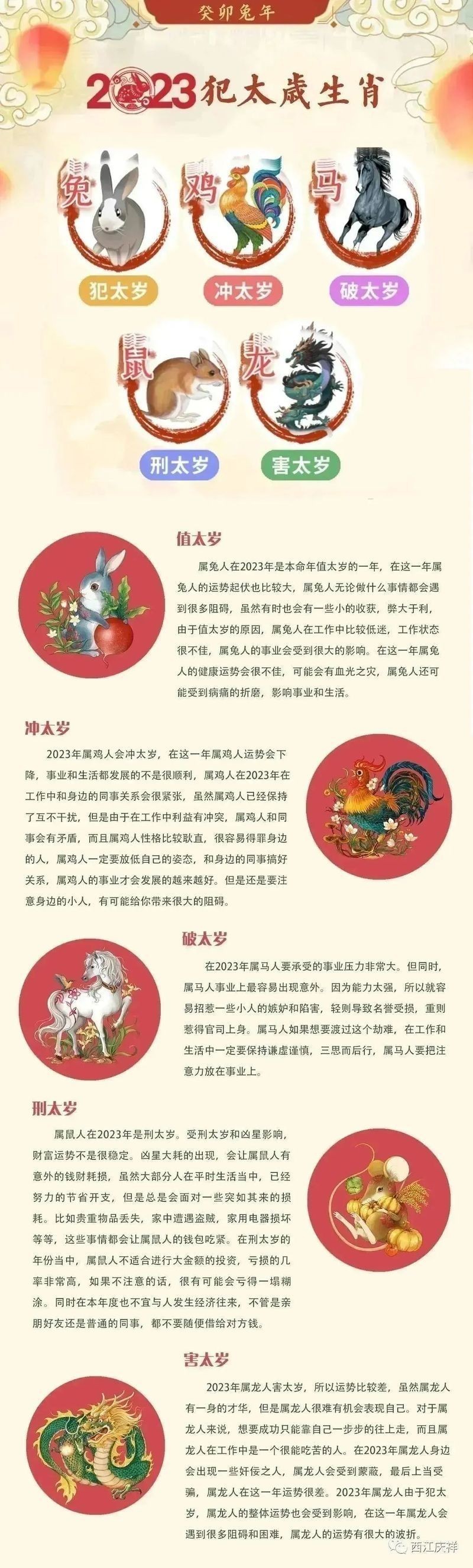 家里養月光魚不吉利