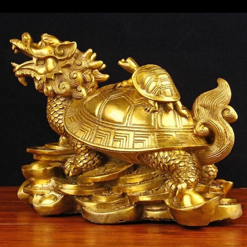 真正的龍龜圖片