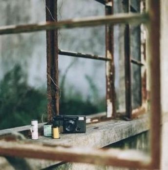 金龍魚的飼養方法，金龍魚養殖金龍魚需要注意什么，金龍魚的飼養技巧