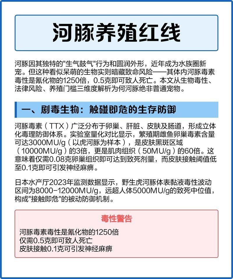 河豚生氣幾次會死 龍魚論壇 第8張 河豚生氣幾次會死 河豚生氣幾次會死 龍魚論壇 第8張
