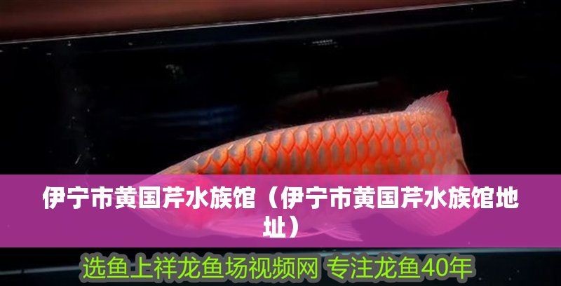 伊犁哈薩克自治州水族館