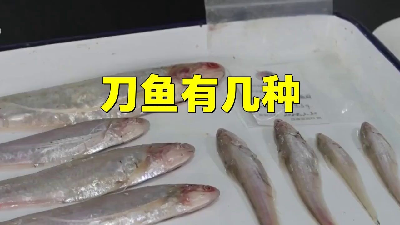 江刀魚和河刀魚的區別：江刀魚與河刀魚有什么區別？