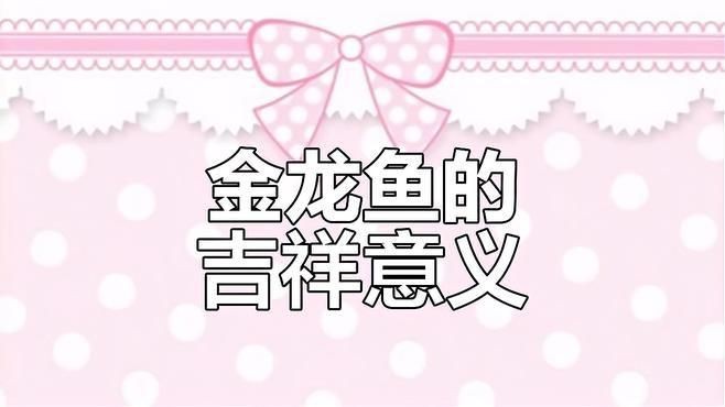海魚金龍魚是哪種：“海魚金龍魚”存在常見認知誤區金龍魚是什么魚