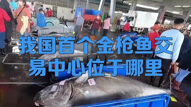 金槍魚屬于什么檔次：三文魚和金槍魚到底誰更貴