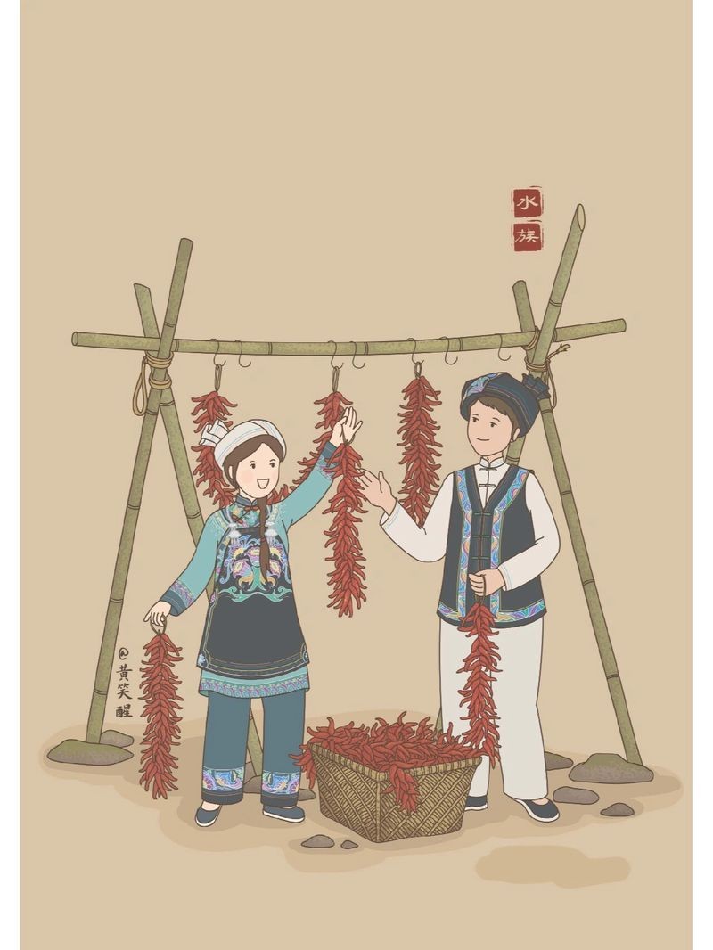 廣西有水族：廣西十二個民族（水族）