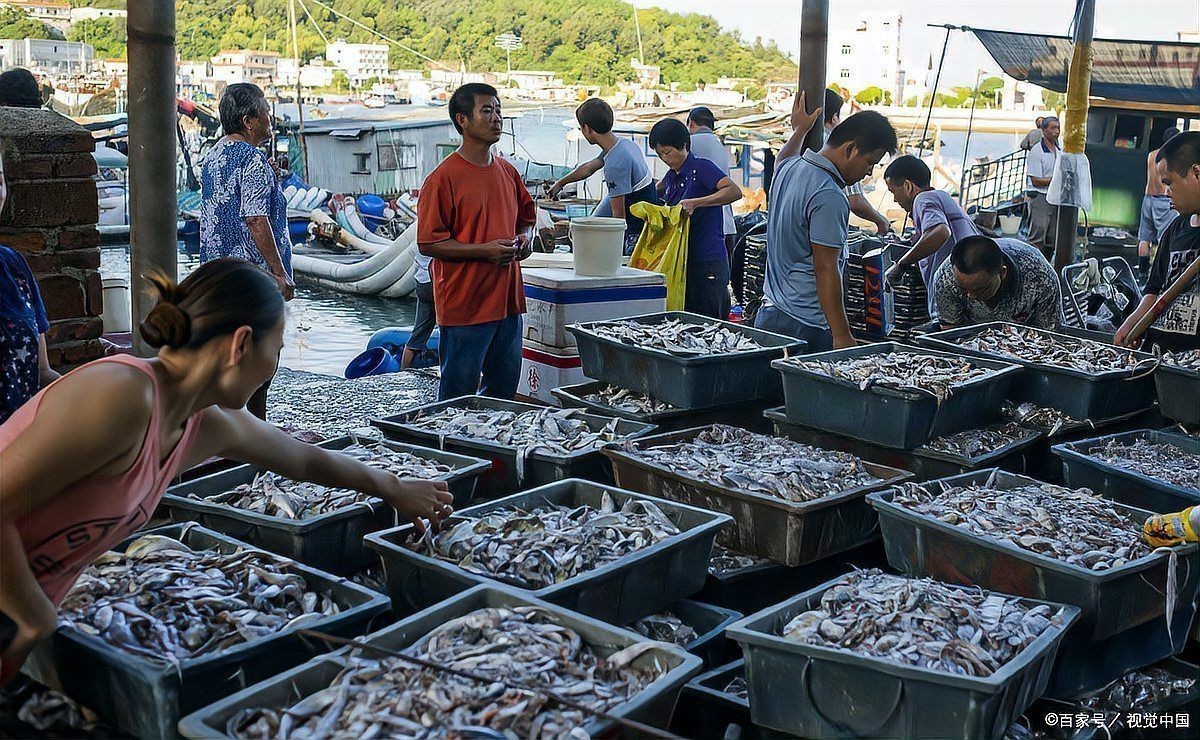 海鮮進(jìn)貨渠道一覽表：海鮮進(jìn)貨渠道全面解析