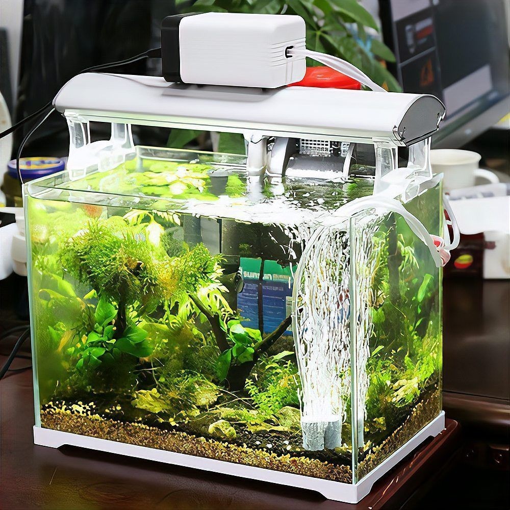 家用魚缸增氧泵(小型)：家用小型魚缸增氧泵選購指南