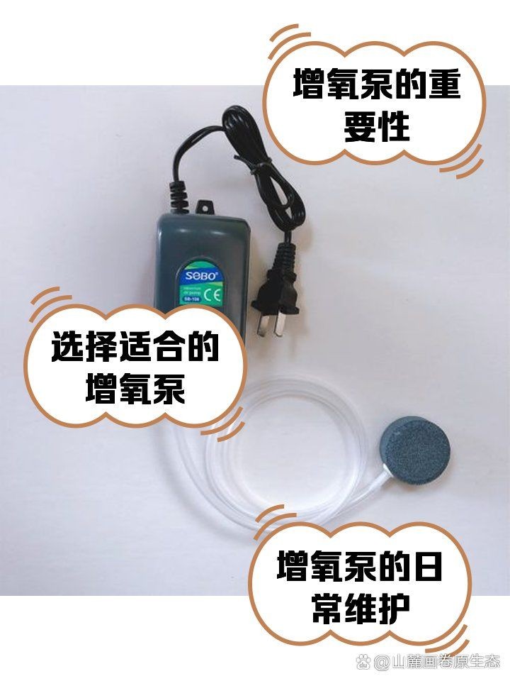 家用魚缸增氧泵(小型)：家用小型魚缸增氧泵選購指南