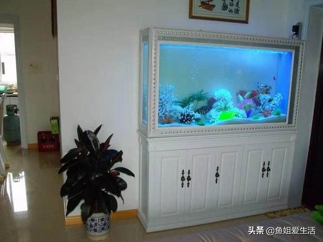 客廳魚缸擺放位置圖：客廳魚缸擺放位置圖解析