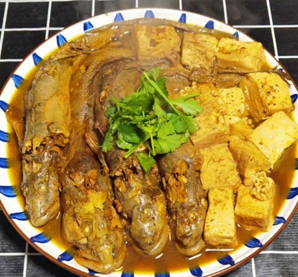 海鯰魚為何不能養(yǎng)：養(yǎng)殖海鯰魚的注意事項