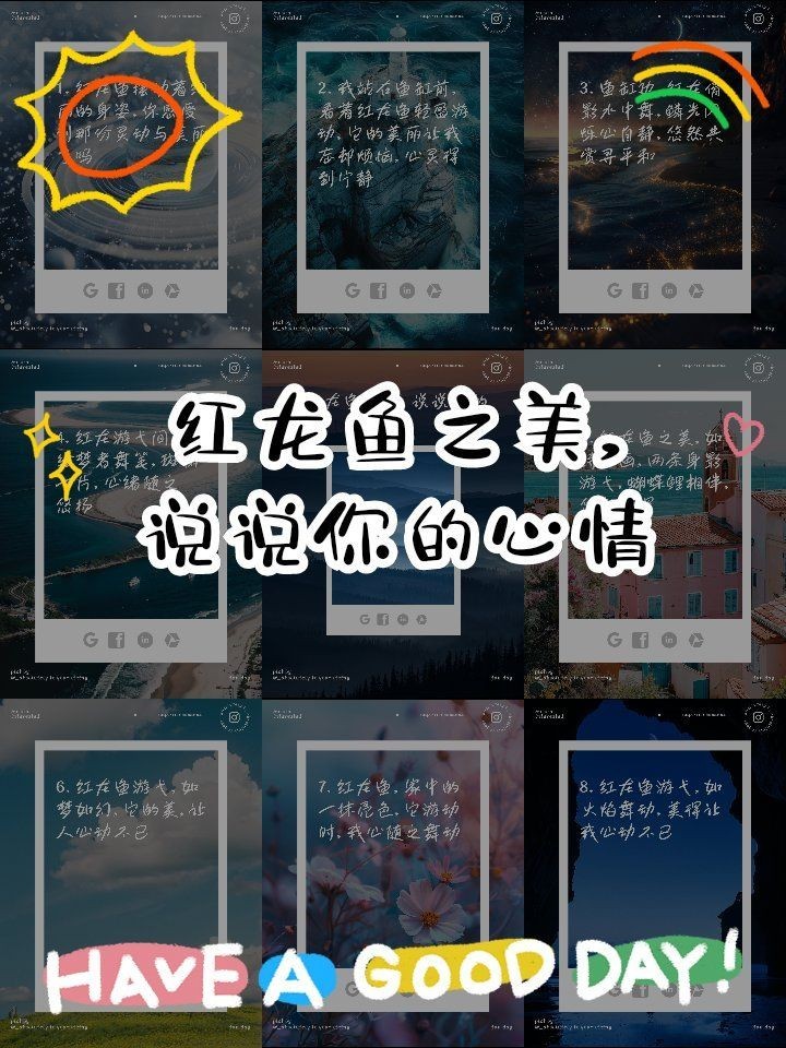 紅龍魚壁紙 霸氣：紅龍魚壁紙霸氣