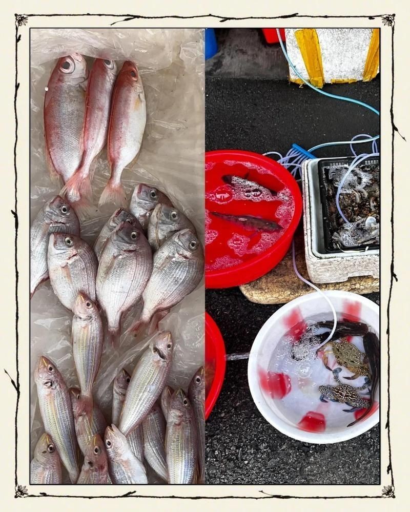 海鰱魚多少錢一斤：海鰱魚價格行情走勢(活鰱魚批發價格