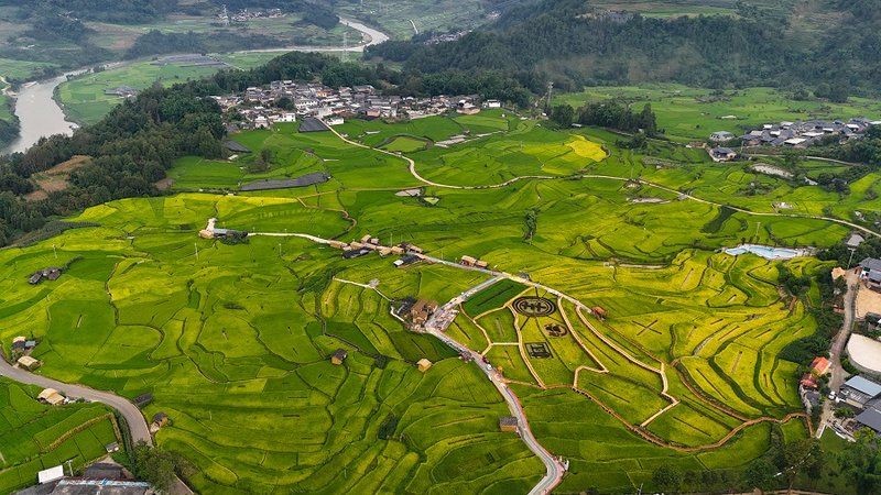 保山魚缸批發(fā)市場：保山魚缸批發(fā)市場分析