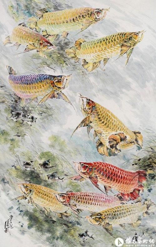 國畫金龍魚圖片大全：《國畫金龍魚圖片大全》