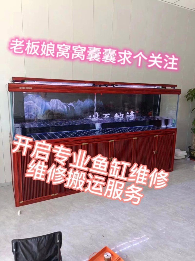 商丘魚缸維護：商丘地區的魚缸維護需注重水質調控
