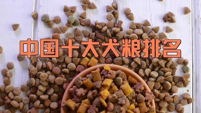 國產十大放心狗糧：2025年國產十大放心狗糧品牌