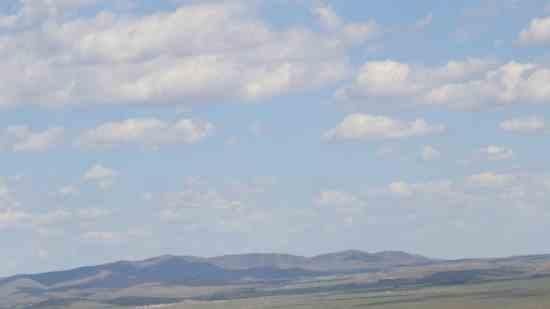 好聽的鯊魚名稱：好聽的鯊魚名字分類