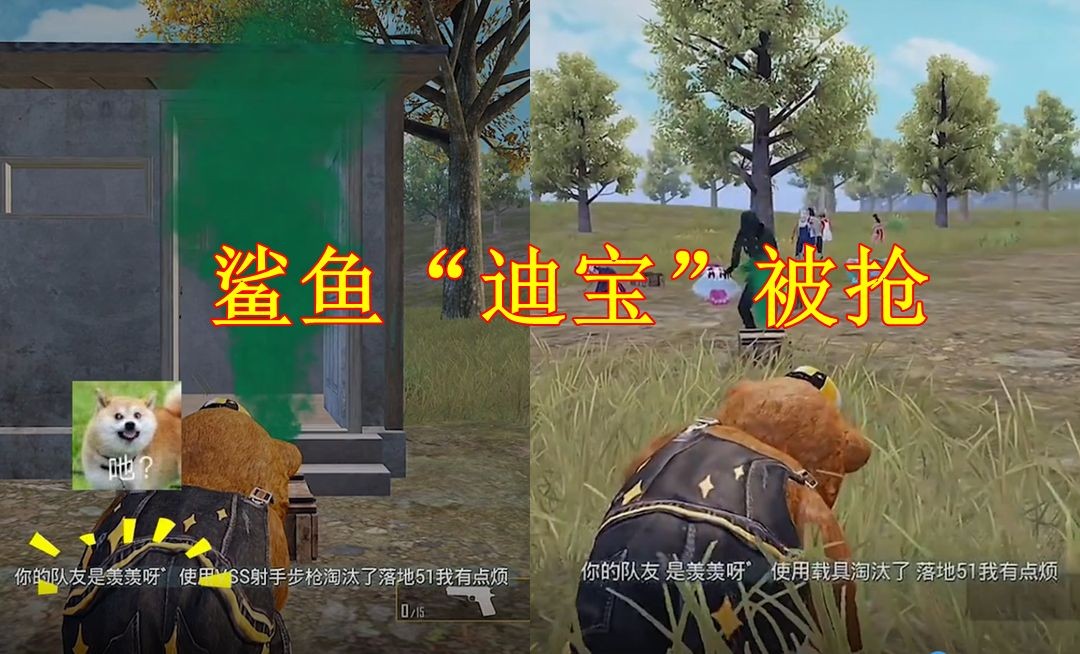 和平精英鯊魚的老婆：《和平精英》“鯊魚的老婆”話題兼具娛樂性與真實(shí)性
