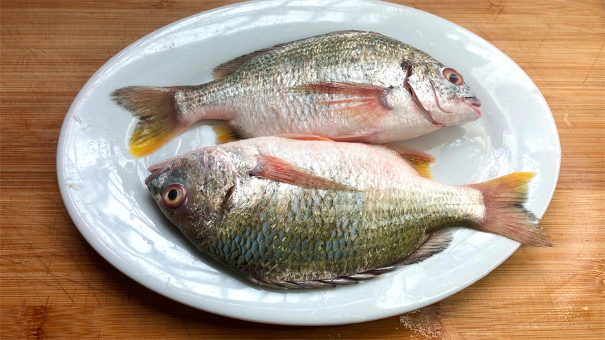 廣東叫立魚是什么魚：中國黃立魚之鄉(xiāng)——珠海金灣區(qū)
