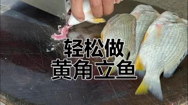 廣東叫立魚是什么魚：中國黃立魚之鄉(xiāng)——珠海金灣區(qū)