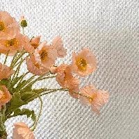 超血龍魚變紅了還能活嗎：如何判斷超血紅龍魚是否健康