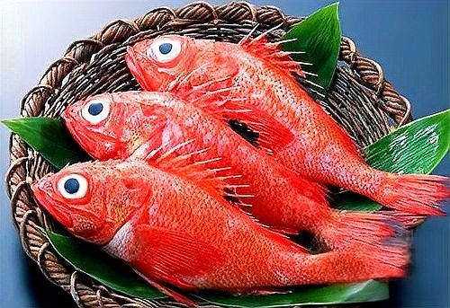 廣東十大名魚：廣東十大名魚，你都認識哪些？