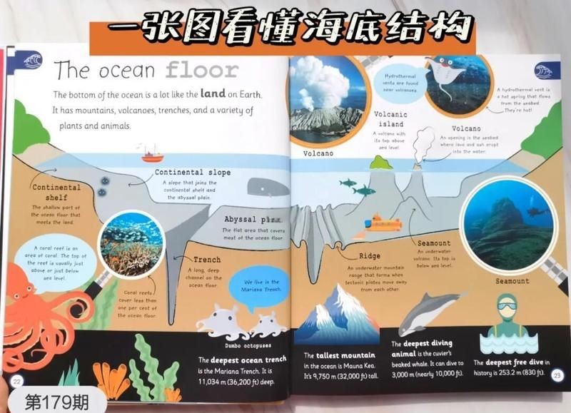海底世界的科普小知識(shí)：地球上最神秘且充滿生機(jī)的領(lǐng)域之一:海底世界
