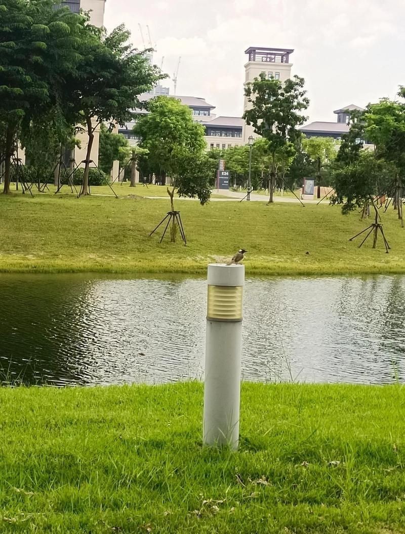 廣東白鼻仔圖片:“廣東白鼻仔”在廣東語境中主要有三重含義涉及戲劇、鳥類和野生動物 全國水族館企業名錄 第27張 廣東白鼻仔圖片:“廣東白鼻仔”在廣東語境中主要有三重含義涉及戲劇、鳥類和野生動物 廣東白鼻仔圖片:“廣東白鼻仔”在廣東語境中主要有三重含義涉及戲劇、鳥類和野生動物 全國水族館企業名錄 第27張