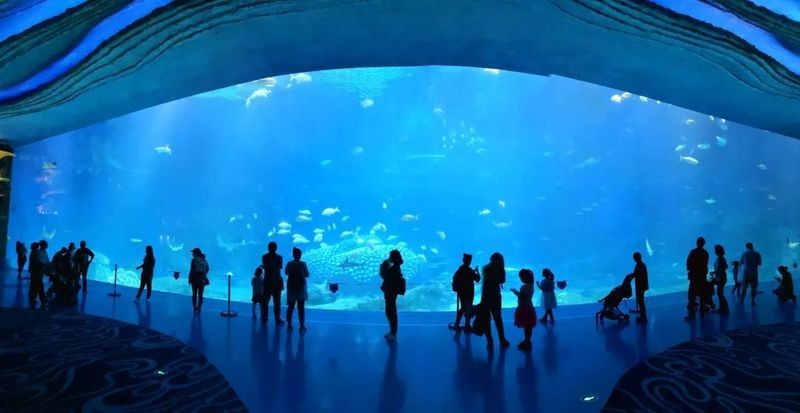 國家水族館名錄查詢：2018國家水族館名錄查詢
