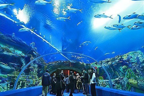 國家水族館名錄查詢：2018國家水族館名錄查詢