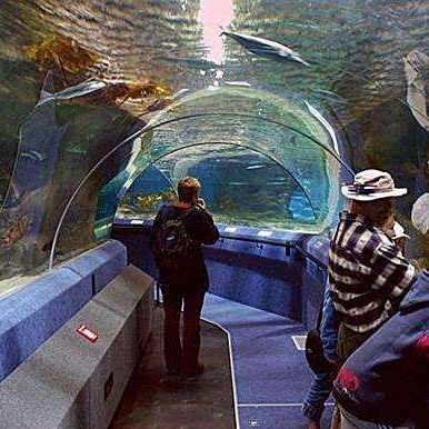 國家水族館名錄查詢：2018國家水族館名錄查詢