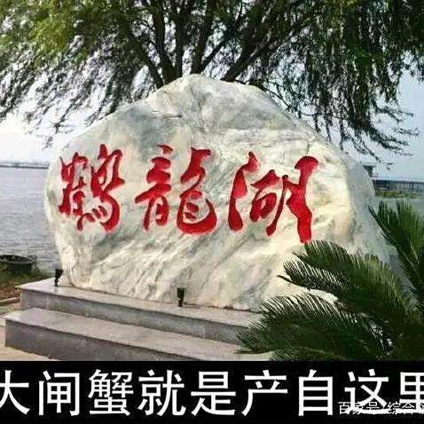 湖南最大淡水蝦養(yǎng)殖在哪：湖南省內(nèi)最大淡水蝦養(yǎng)殖基地鶴龍湖蟹蝦養(yǎng)殖基地