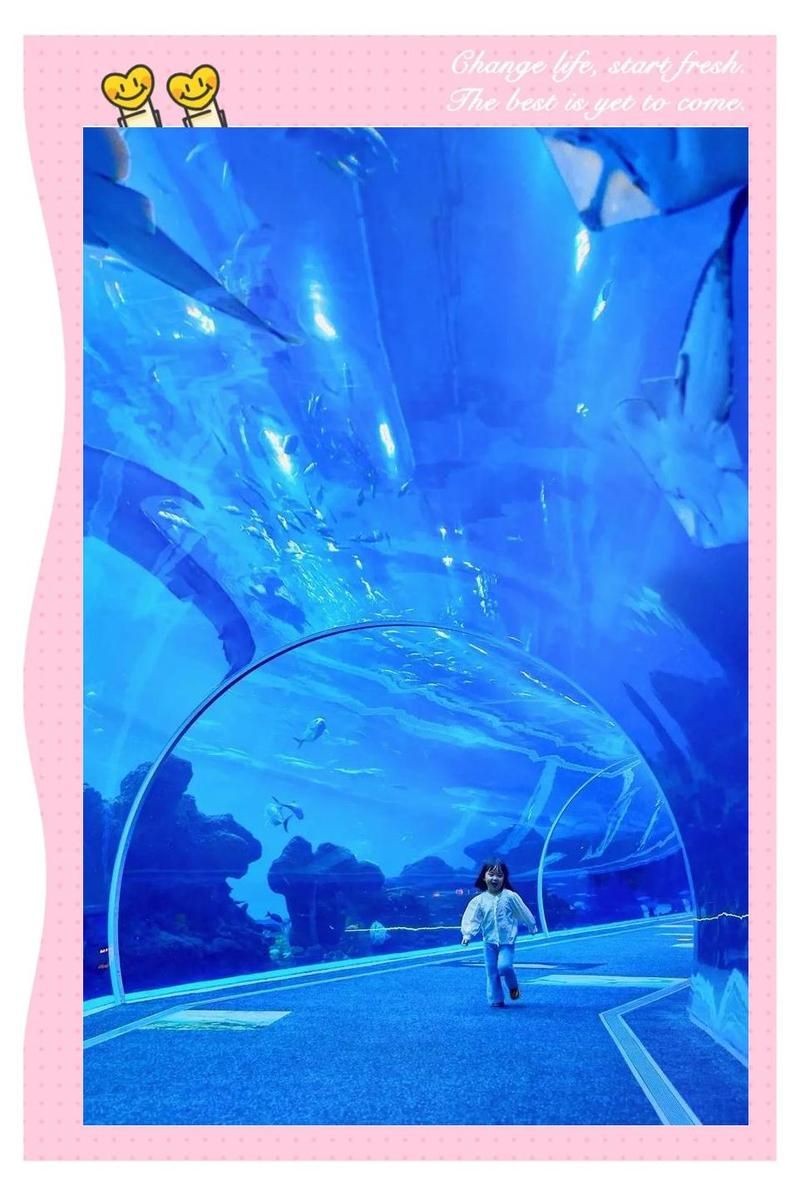 南充水族館：南充水族館——南充水族館