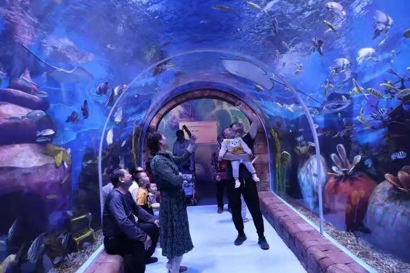 南充水族館：南充水族館——南充水族館