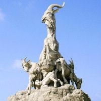歌利魚多少錢一斤：“歌利魚多少錢一斤”是消費者關(guān)注的核心問題其價格