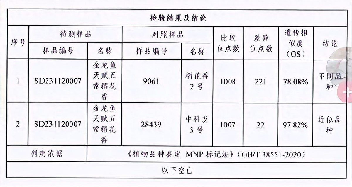 金禾金龍魚是雜牌子嗎：“金禾金龍魚是否為雜牌子”需明確區(qū)分品牌歸屬與市場認(rèn)知