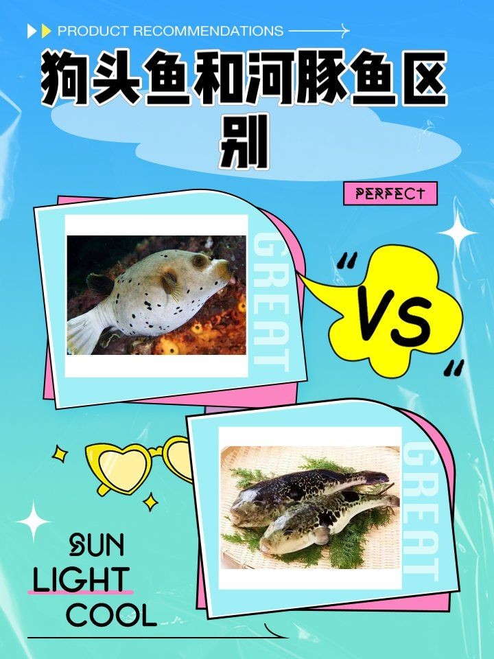 狗頭魚會(huì)咬人手指嗎：淺析魚類攻擊行為,光明網(wǎng),狗頭魚好養(yǎng)嗎