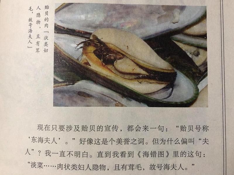 海夫人是什么海鮮：“海夫人”名稱的由來
