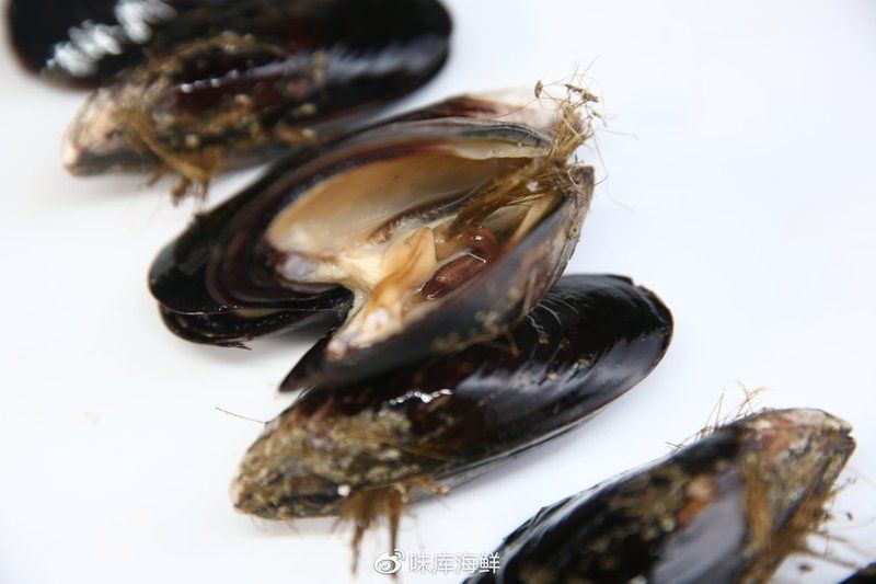 海夫人是什么海鮮：“海夫人”名稱的由來