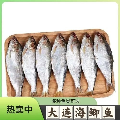 海刺魚圖片：**《海刺魚圖片》*