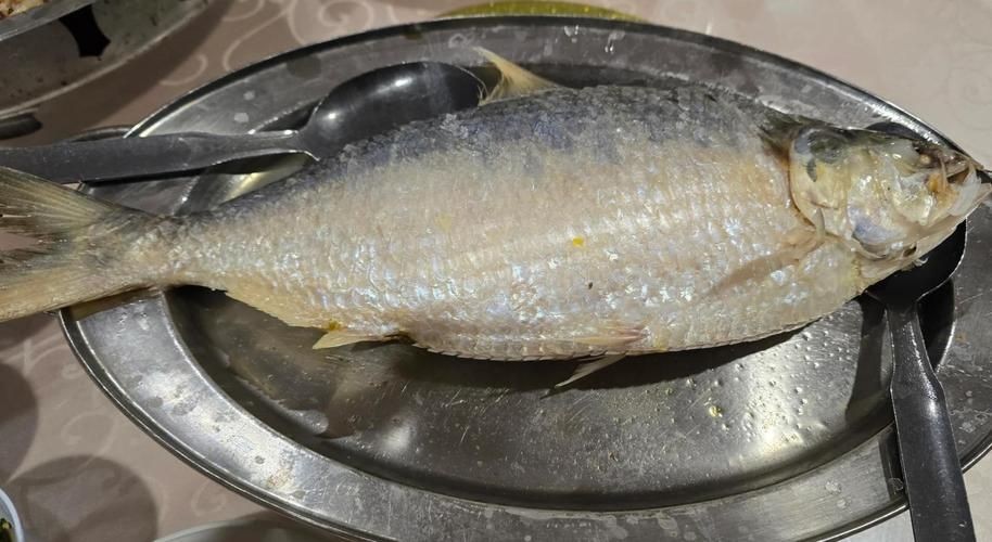 海刺魚圖片：**《海刺魚圖片》*