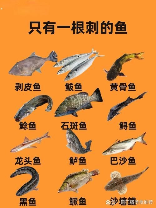海刺魚圖片：**《海刺魚圖片》*