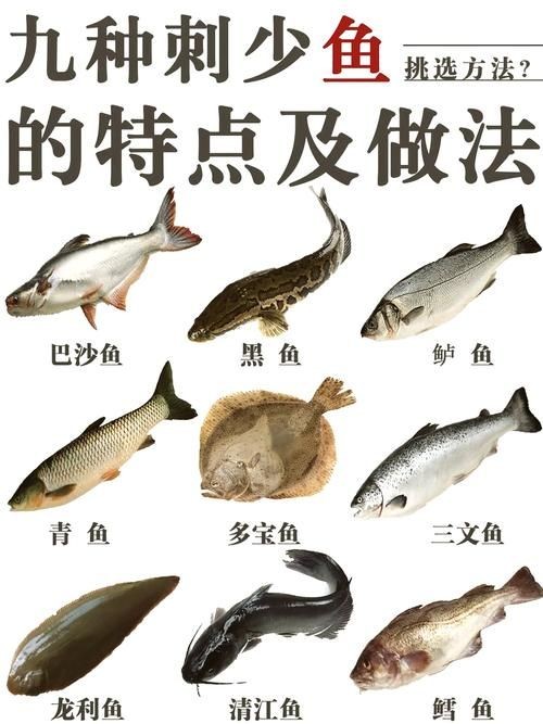 海刺魚圖片：**《海刺魚圖片》*