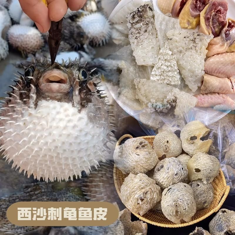 海刺魚圖片：**《海刺魚圖片》*