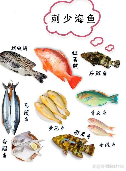 海刺魚圖片：**《海刺魚圖片》*