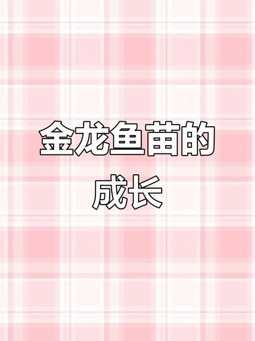 1～2厘米金龍苗圖片：聚焦于體長1～2厘米的金龍魚苗形態特征與視覺呈現