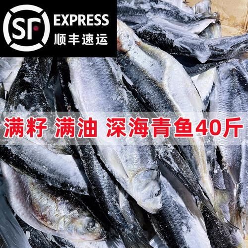 海里青魚圖片：海里青魚——海洋中的隱士